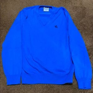 Express V neck sweater.